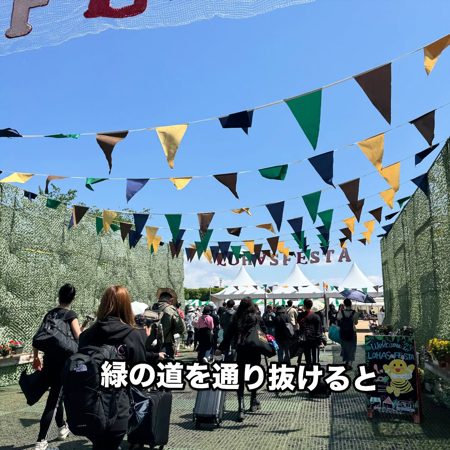 恒例の大集合写真です！