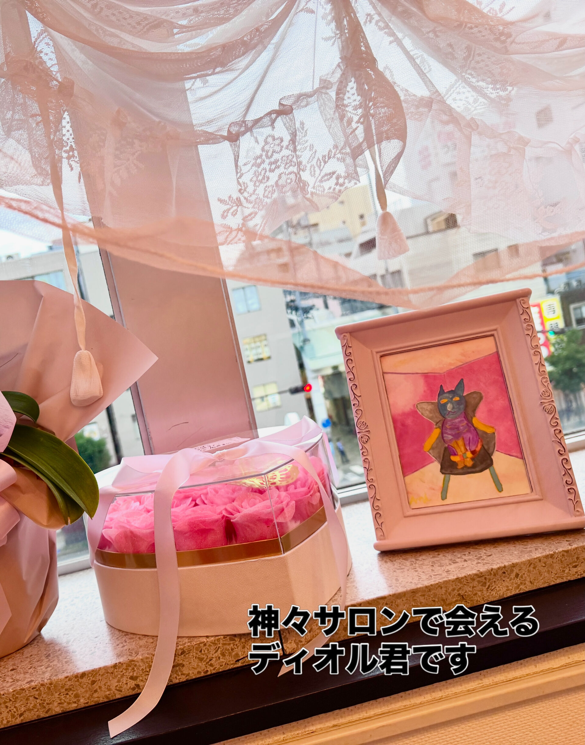 【ディオル君がやって来た❤️】